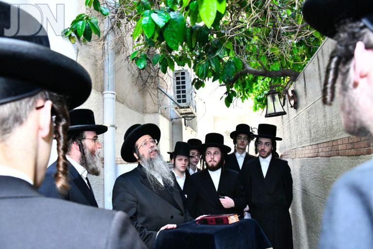 שבט הלוי ברכת האילנות (12)