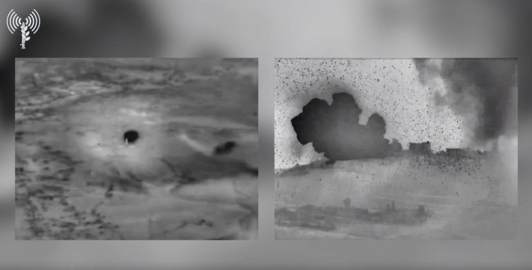 ‏‏לכידה