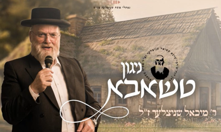 ‏‏לכידה