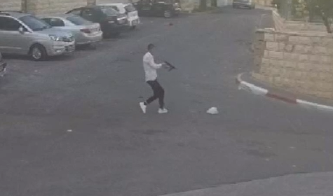 ‏‏לכידה