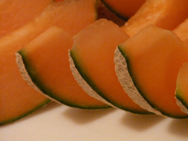 honeydew-melon-11541_1280