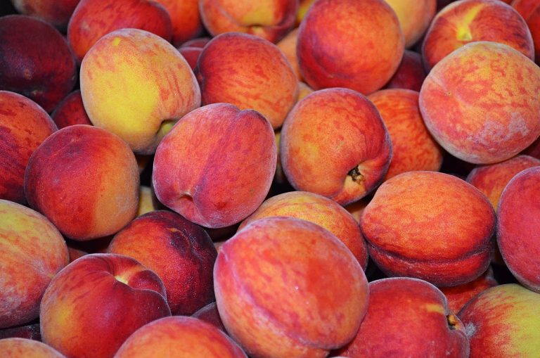 peach-853879_1280