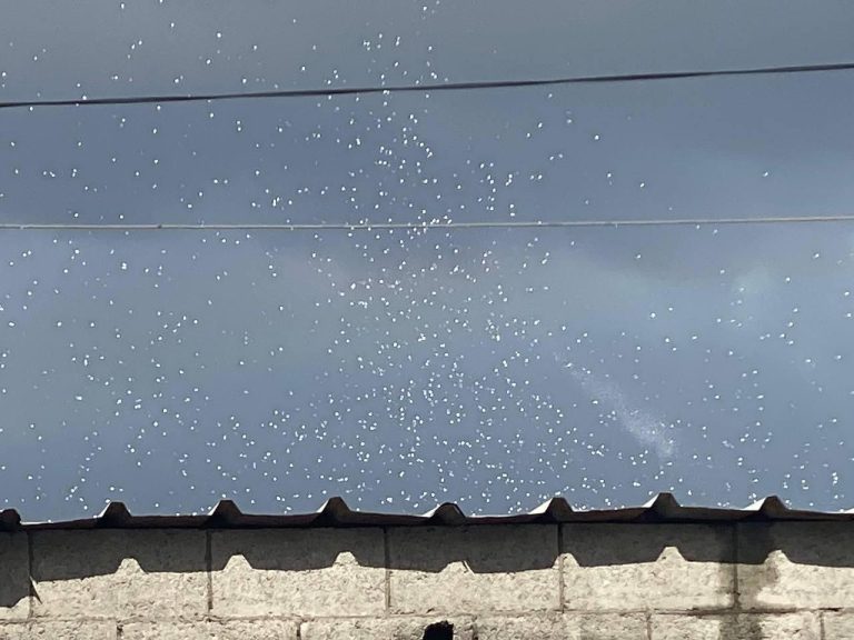 photo1714975373