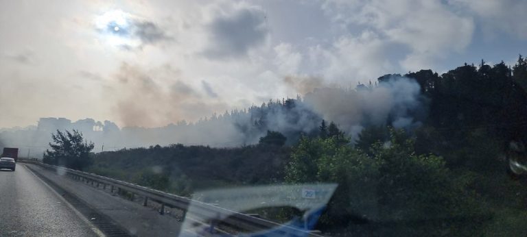 photo1716265673