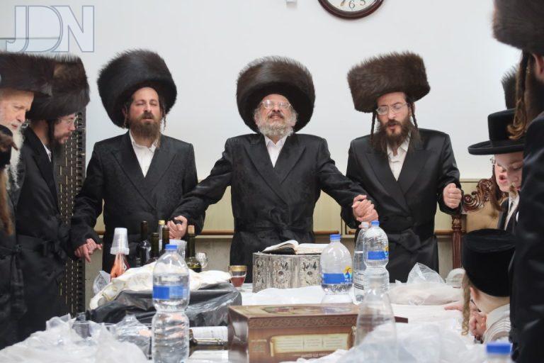 אנטניא פסח פד (7)