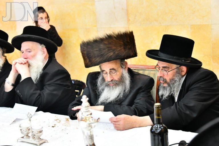 גארליץ הילולת הדברי חיים (12)