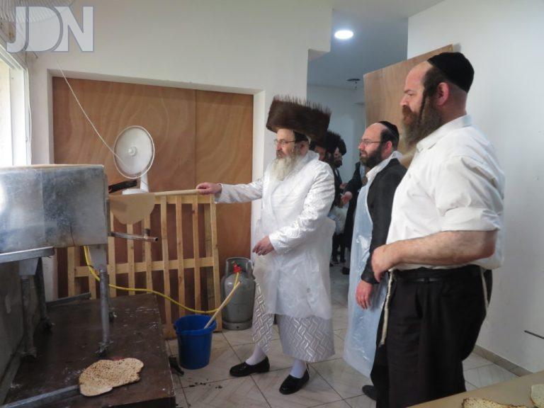 זוטשקא אמסנא פסח פד (7)