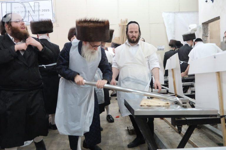 יאמפלא מצות פד (3)