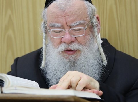 לייב_מינצברג