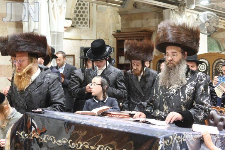 סאדיגורה מערת המכפלה (6)