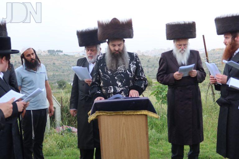 סאדיגורה פסח פד (2)