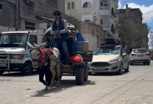 צילום מסך 2024-05-06 182617