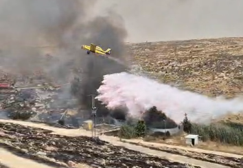 צילום מסך 2024-05-20 144642