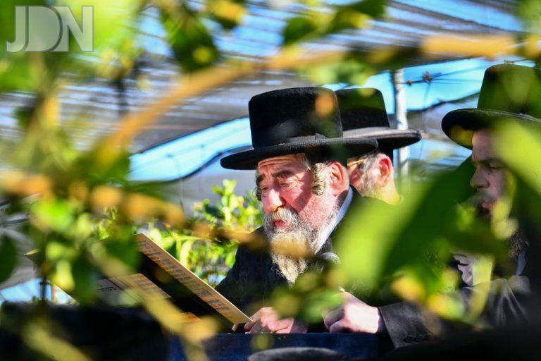 ראחמיסטריווקא ברכת האילנות (26)