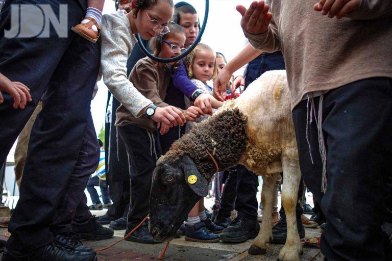 ראשית הגז עמנואל (31)