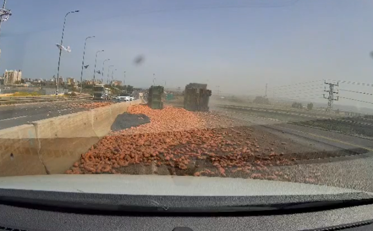 ‏‏לכידה