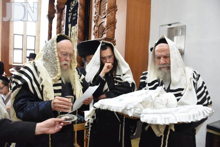 אשלג ביאלא קאמארנא רמת שלמה ברית (9)