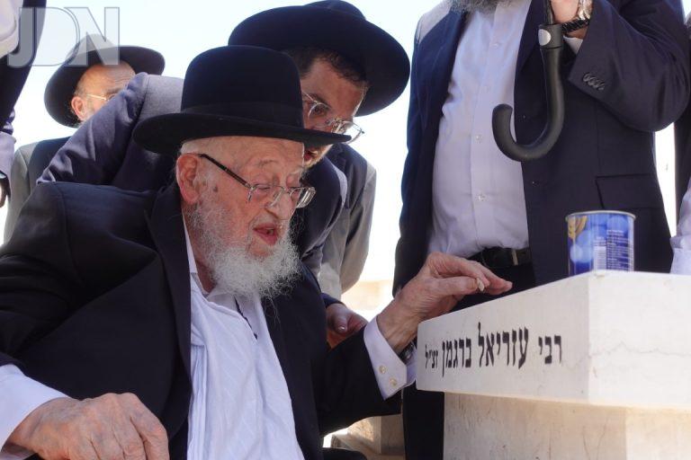 הגרמ''צ ברגמן בקבר בנו פד (10)