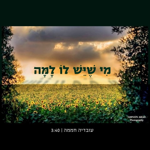 מי שיש 3000 (Small)