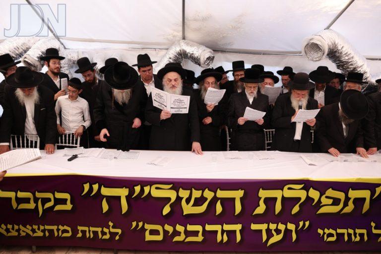 ציון השל''ה דוד כהן פד (17)