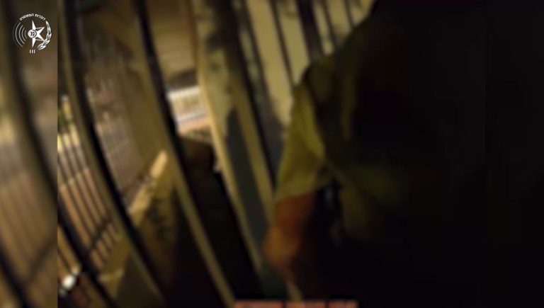 צילום מסך 2024-06-04 125714