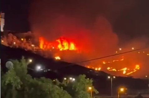 צילום מסך 2024-06-25 233051
