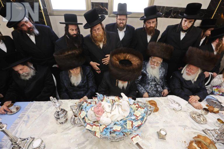 שאץ ויז'ניץ שומרי אמונים פדיון הבן (11)