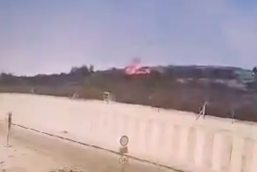 ‏‏לכידה