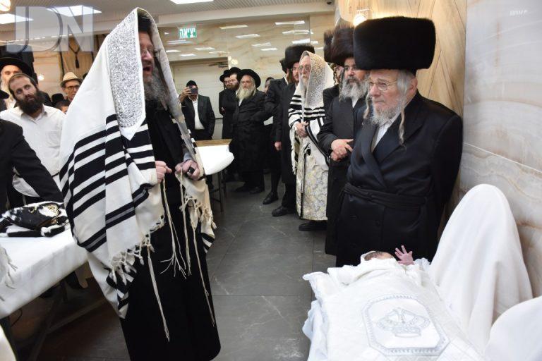 ביטשקוב ברית (3)
