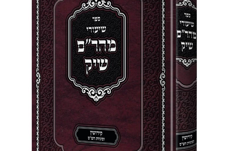 מהרם שיק הדמיה כריכה11