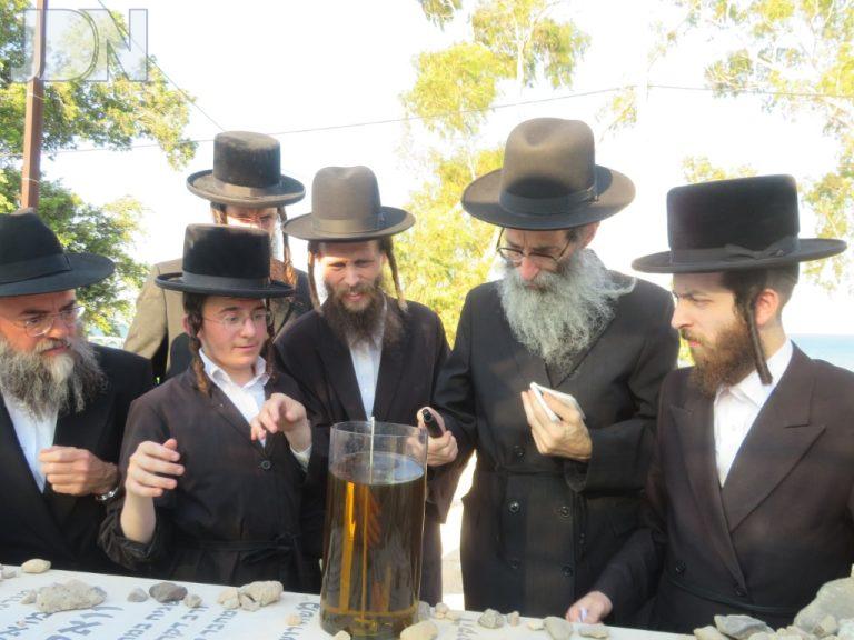 עליה לציון רבי משה וולפסון שלושים (4)