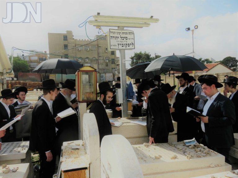 עליה לקבר הגרמי ליפקוביץ זצל בראשות בניו שליטא (19)