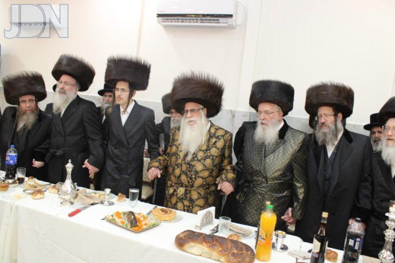 צאנז שבע ברכות לנכדה בבני ברק (15)