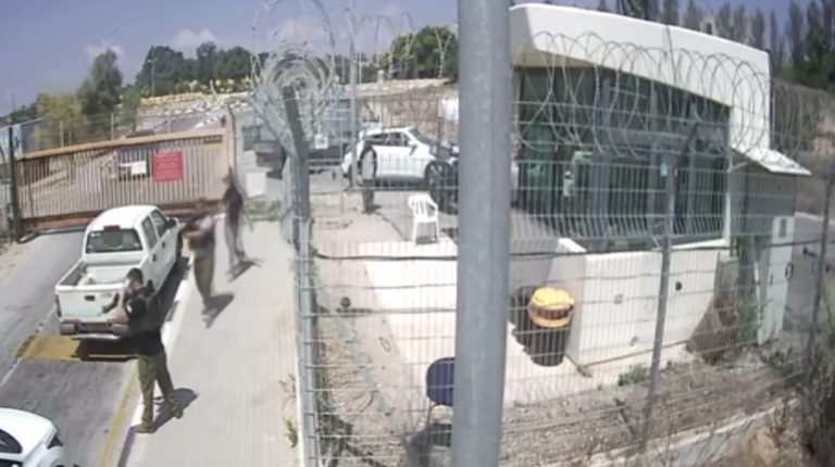 צילום מסך 2024-07-22 135013