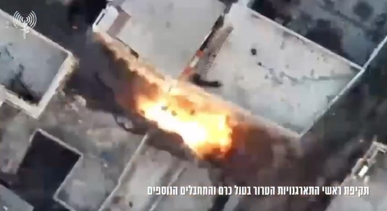 צילום מסך 2024-07-23 131012