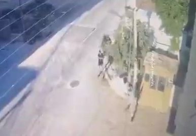 צילום מסך 2024-07-24 135236
