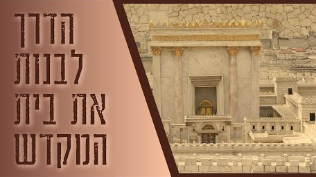 צילום מסך 2024-07-26 125924