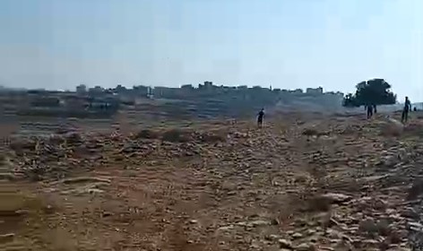 צילום מסך 2024-07-27 224120