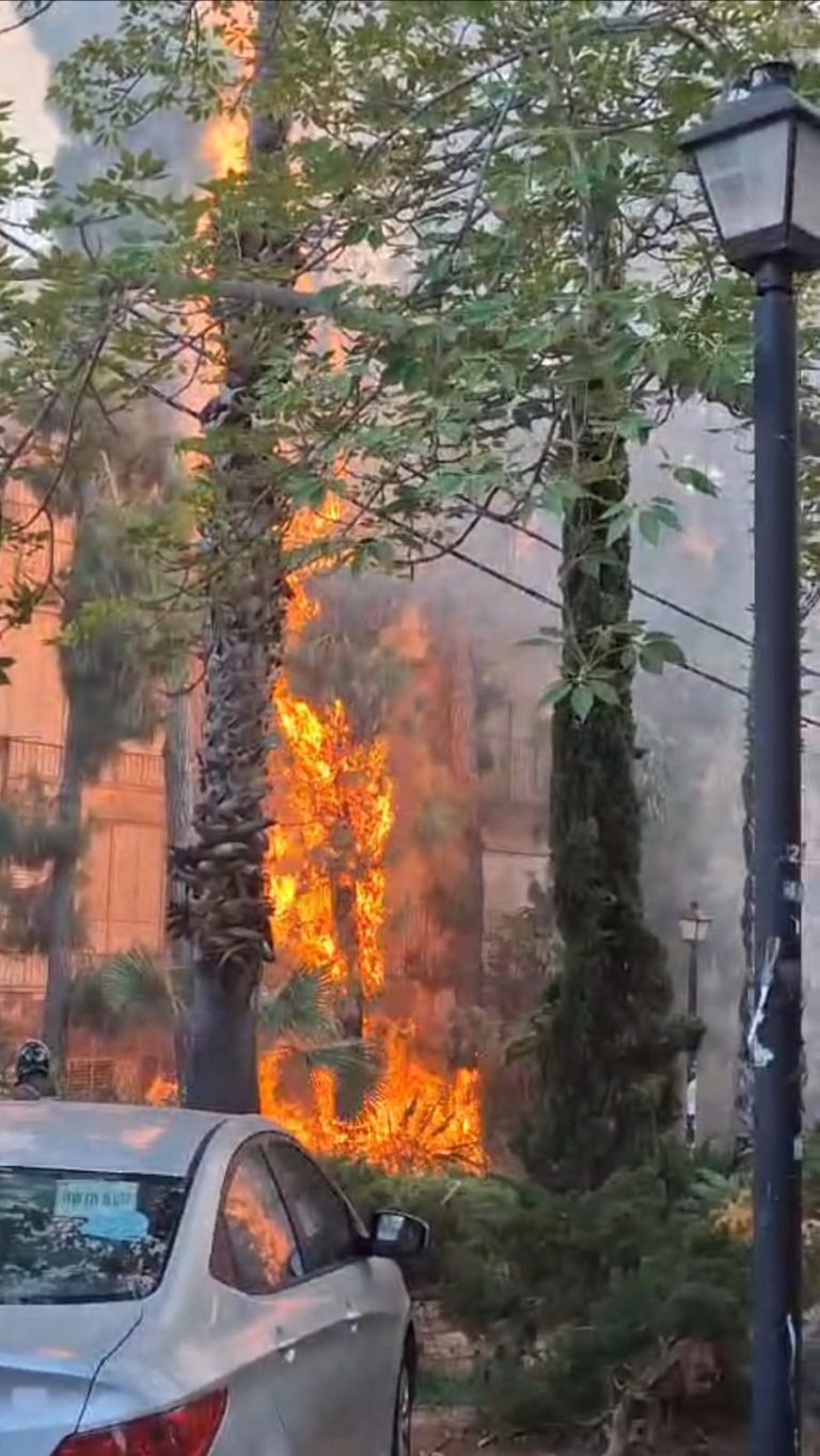 תמונה של WhatsApp‏ 2024-07-08 בשעה 19.27