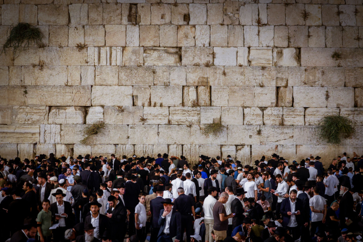 TISHA BAV