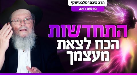 צילום מסך 2024-08-26 204028
