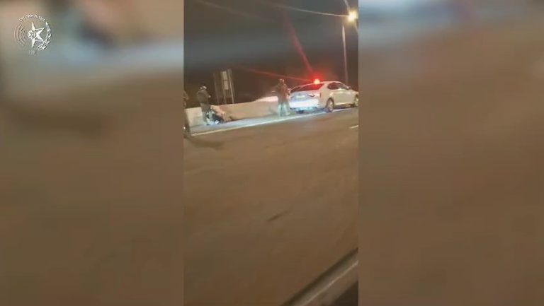 צילום מסך 2024-08-29 084541