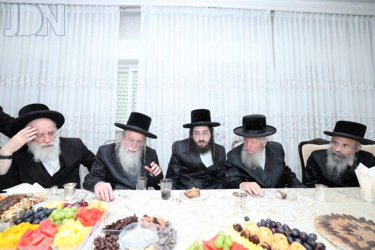 קרית צאנז לחיים (3)