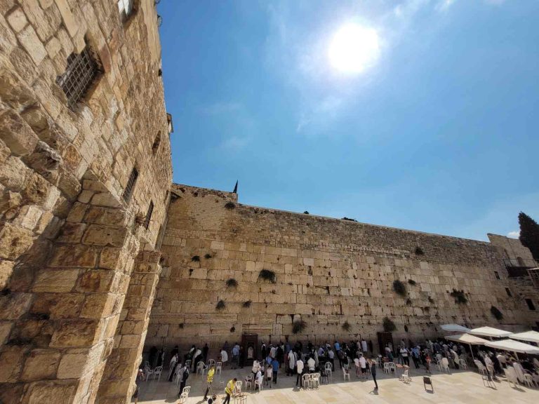 תמונה של WhatsApp_ 2024-08-12 בשעה 11.37
