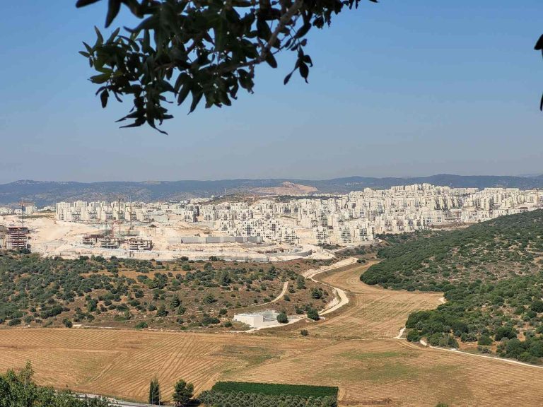 תמונה של WhatsApp_ 2024-08-20 בשעה 08.14