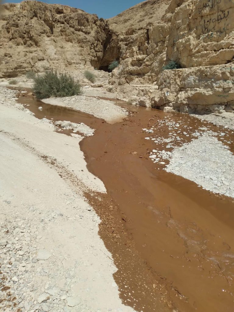 תמונה של WhatsApp‏ 2024-08-16 בשעה 16.48
