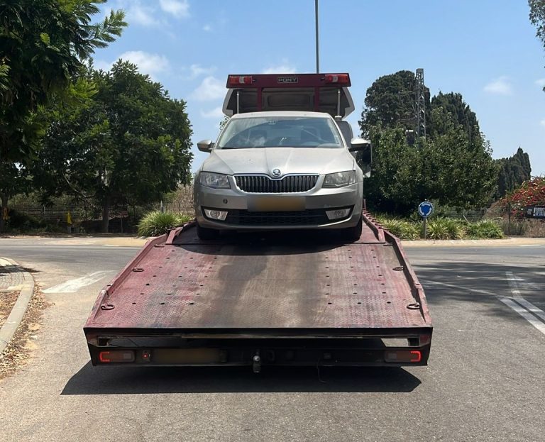 תמונה של WhatsApp‏ 2024-08-26 בשעה 06.40
