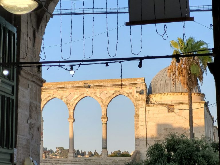 תמונה של WhatsApp‏ 2024-08-26 בשעה 10.28