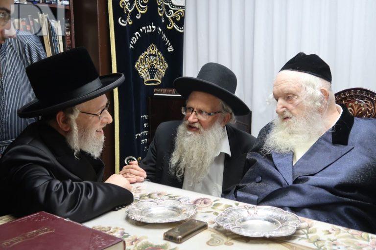אב''ד אייזנשטאט אצל הגר''מ שטרנבוך (2)