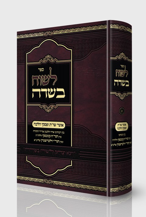הדמייה (1) (Small)